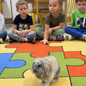 Dzieci w sali przedszkolnej mają spotkanie ze zwierzakiem, dzieci siedzą w kole, a po środku siedzi królik.