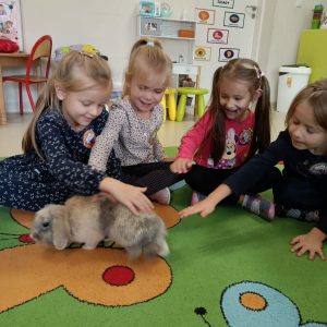 Dzieci uczestniczą w Warsztatach ze zwierzątkami