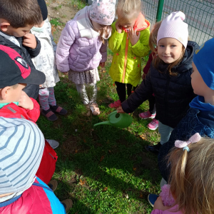 Dzieci dbają o grupowy ogródek