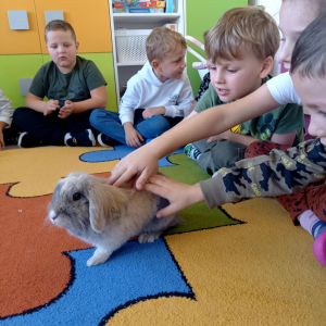 Dzieci głaskają królika