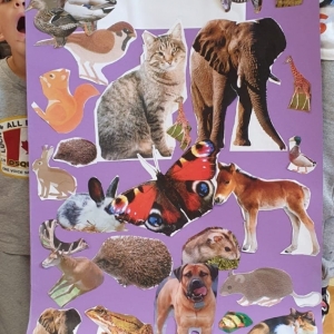 Na zdjeciu dzieci z grupy Żabki z plakatem z okazji Światowego Dnia Zwierząt