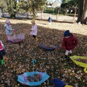 Na zdjęciu dzieci z grupy Biedronki podczas zabawy w jesiennym ogrodzie przedszkolnym