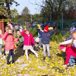 Na zdjęciu dzieci z grupy Niedźwiadki podczas szukaniu najpiękniejszego liścia jesiennego
