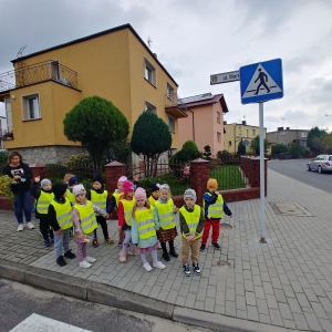 Dzieci bezpiecznie przechodzą po pasach. Mają ubrane kamizelki odblaskowe. Uczą się bezpiecznego zachowania na drodze. 