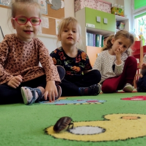 Na zdjęciu widać dzieci, które siedzą na dywanie razem z Panem Instruktorem. Pan prowadzi warsztaty i opoiwada o owadach. Pokazuje dzieciom owady.