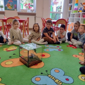 Na zdjęciu widać dzieci, które siedzą na dywanie razem z Panem Instruktorem. Pan prowadzi warsztaty i opoiwada o owadach. Pokazuje dzieciom owady.